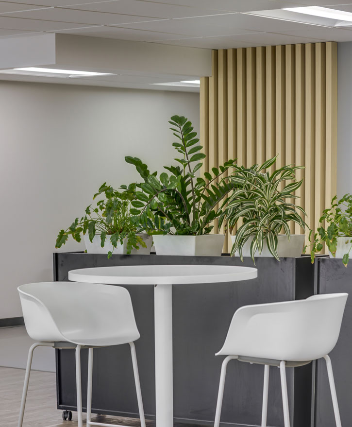 Cima+ Sherbrooke Espace Vital Architecture
