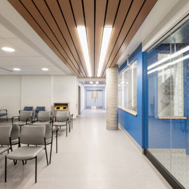 Hopital Maisonneuve Rosemont Espace Vital Architecture